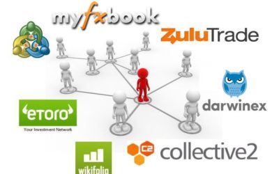 Social Trading Summer Splitter