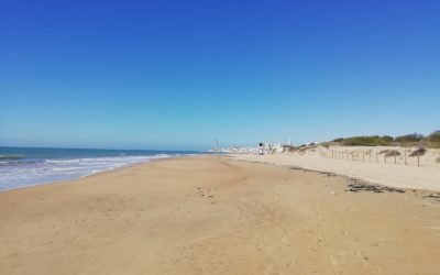 Social Trading Summer Splitter